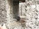 PICTURES/Coral Castle Museum - Homestead/t_Cooker4.jpg